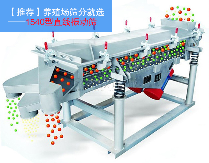 養(yǎng)殖場飼料直線振動篩