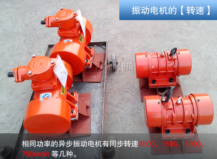 直線篩振動電機